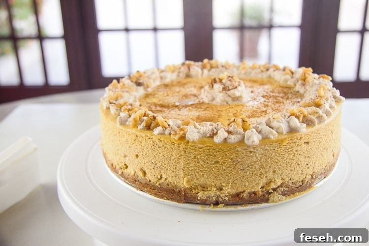 pumpkin cheesecake