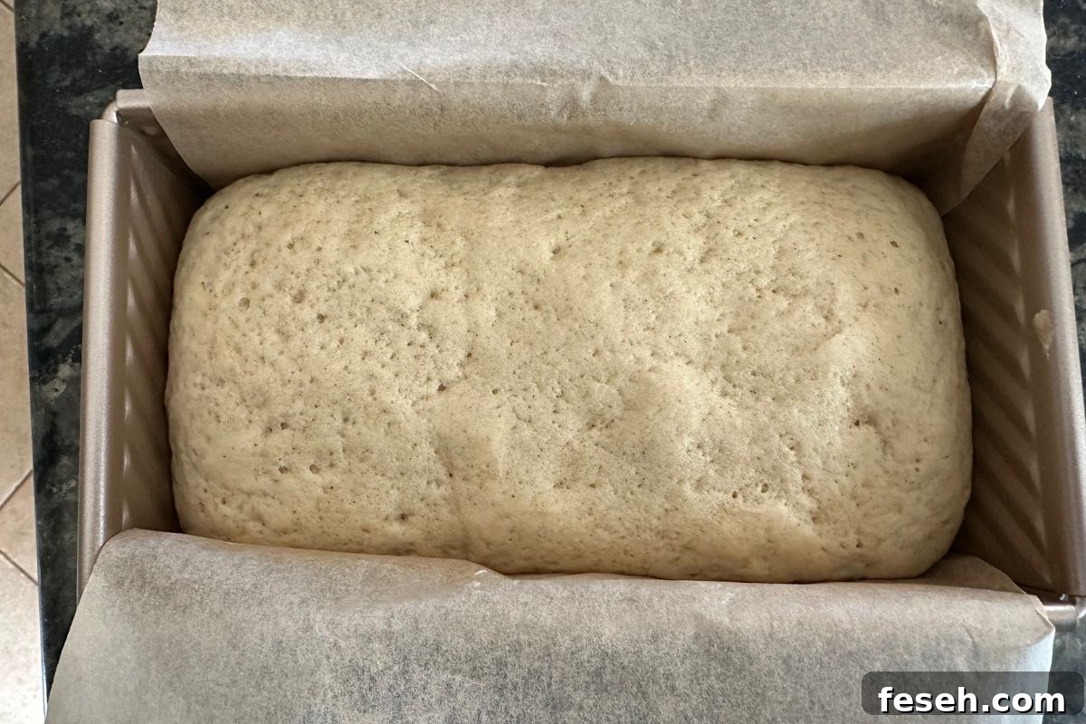 A photo of the bread dough after rising.