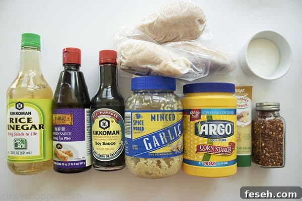 Ingredients to make General Tso's Chicken 