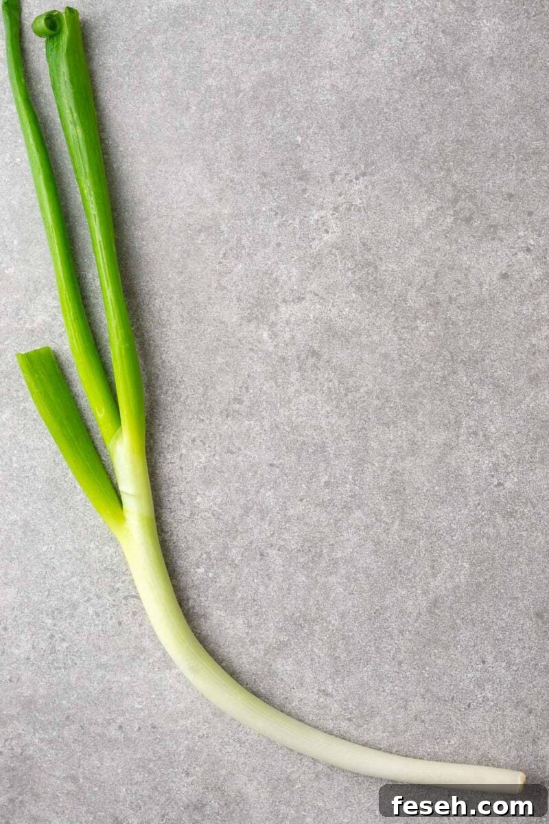A green onion, also called spring onion or scallion.