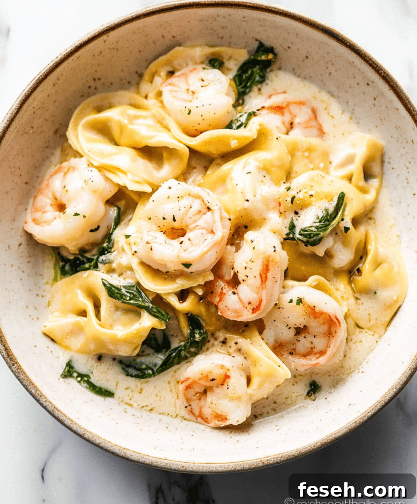 Shrimp Tortellini With Garlic Sauce