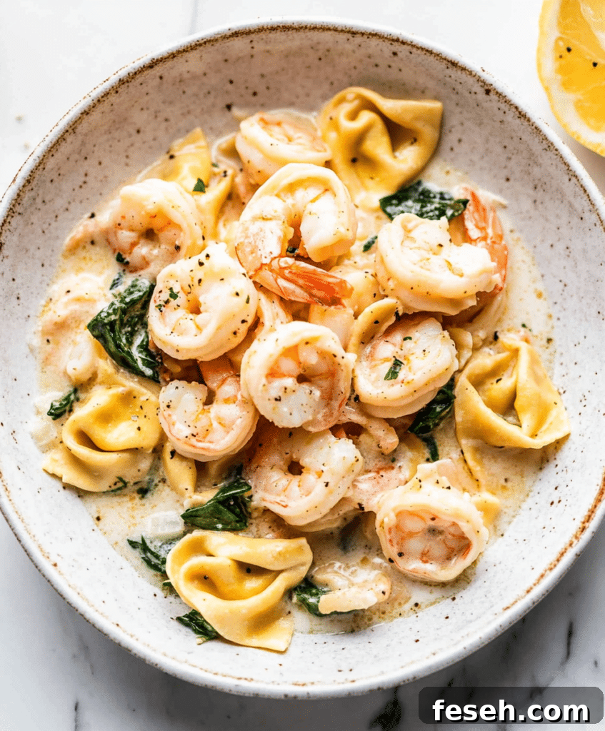 Shrimp Tortellini With Garlic Sauce