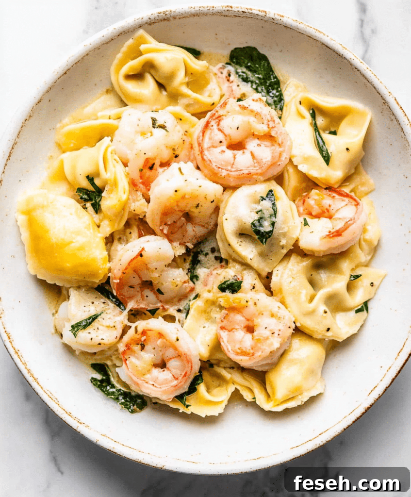 Shrimp Tortellini With Garlic Sauce