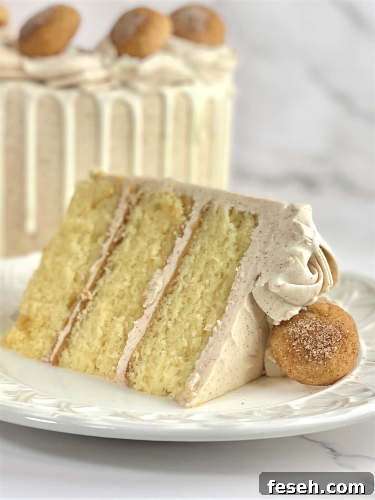 Slice of snickerdoodle cake