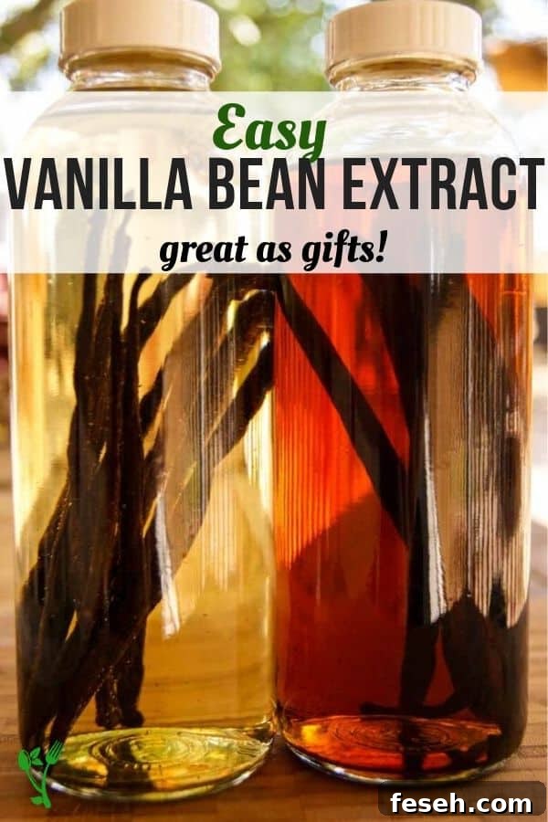 Easy vanilla bean extract in a two bottles at different stages of infusion.