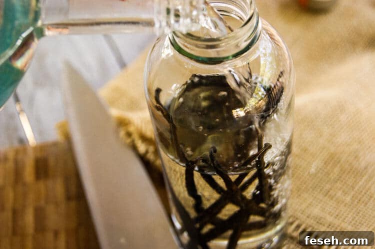 Vodka is poured over vanilla beans to make vanilla bean extract.