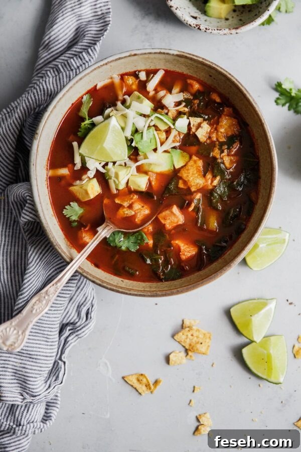 Mexican Tortilla Soup