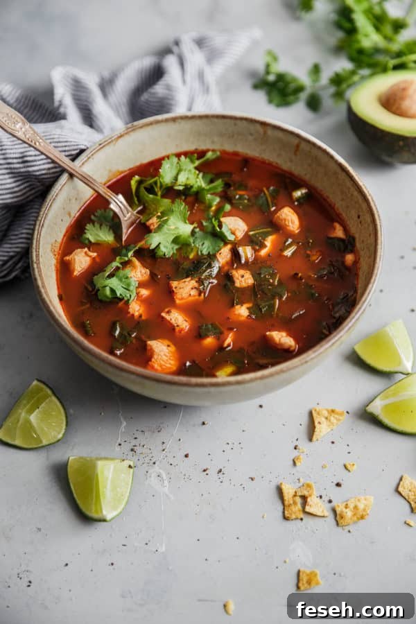 Mexican Chicken Tortilla Soup