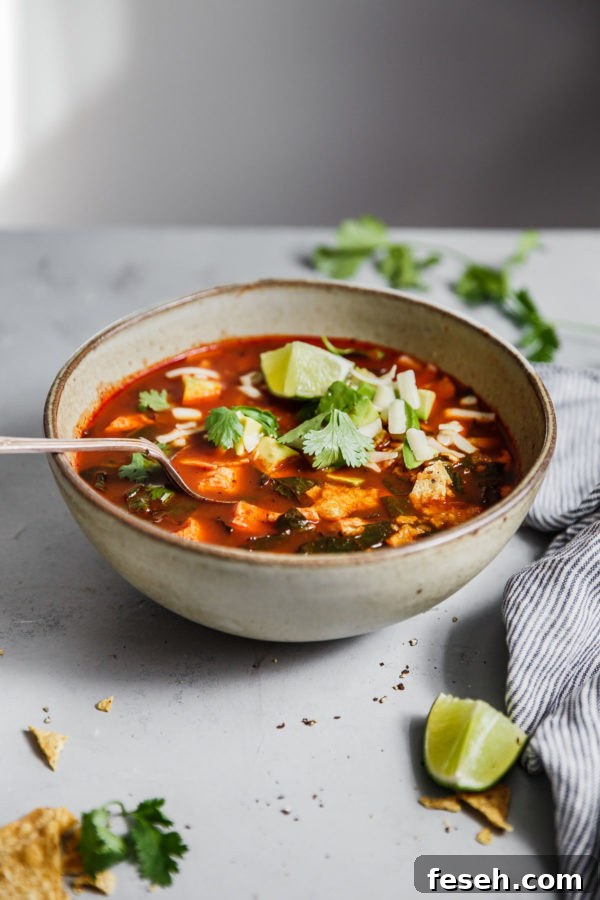 Chicken Tortilla Soup Recipe