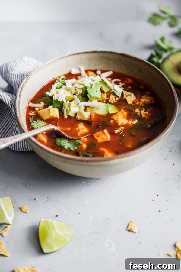 Mexican Tortilla Soup in Bowl with Toppings