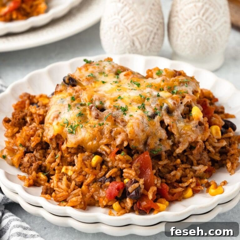 A serving of cheesy Taco Rice Casserole with ground beef, rice.