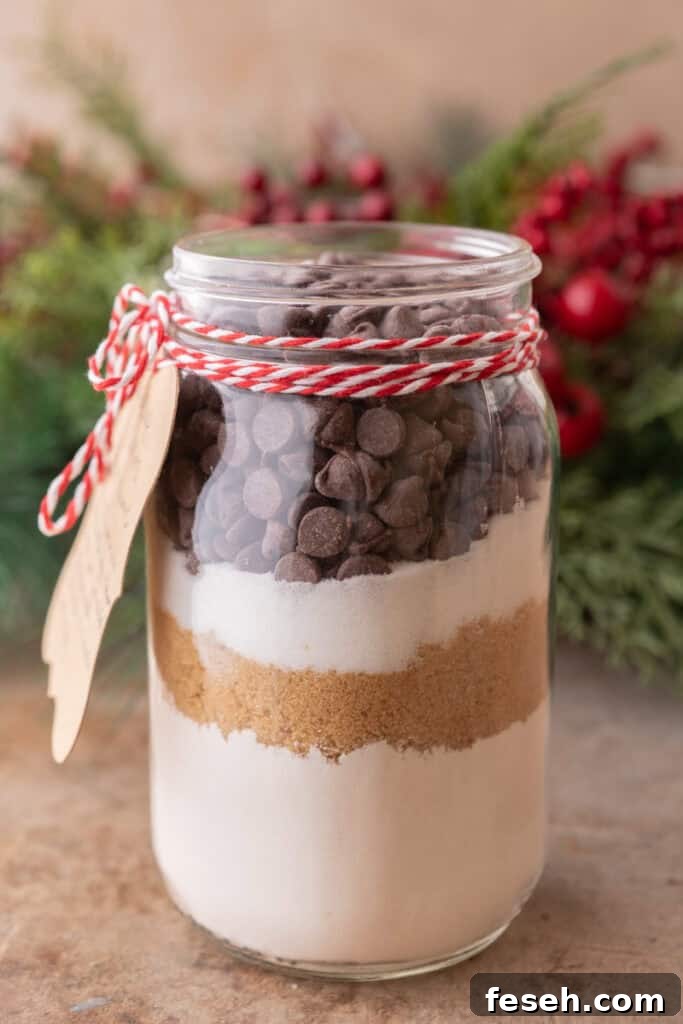 Chocolate Chip Cookie Mix in a Jar side shot