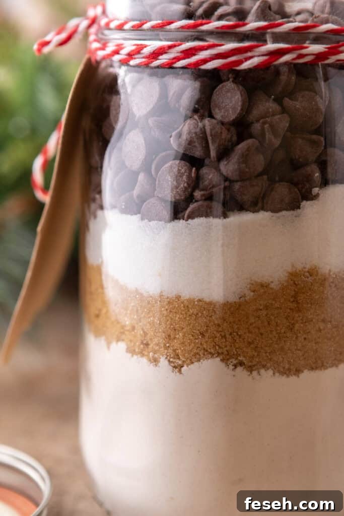 Chocolate Chip Cookie Mix in a Jar side shot