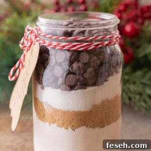 Chocolate Chip Cookie Mix in a Jar side shot