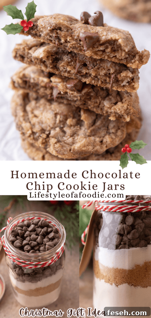 Chocolate Chip Cookie Mix in a Jar pinterest pin