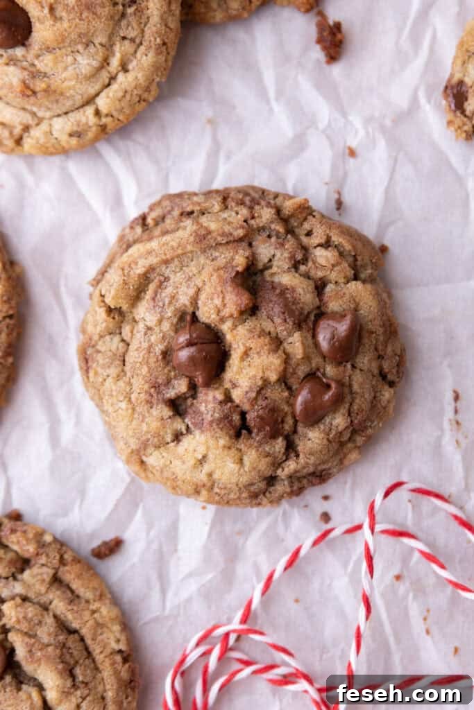 a cookie made from the Chocolate Chip Cookie Mix in a Jar