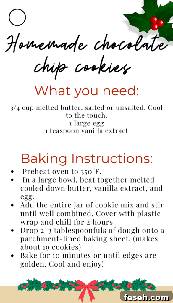Homemade chocolate chip cookie jars