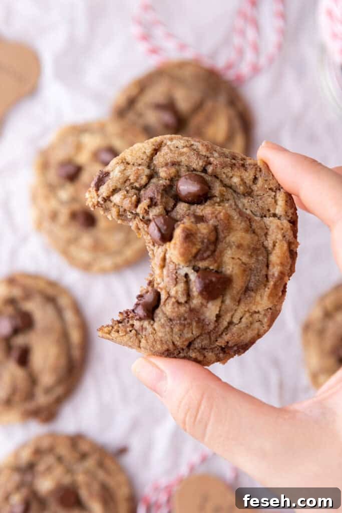 a cookie made from the Chocolate Chip Cookie Mix in a Jar