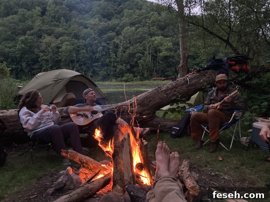 campfire at night