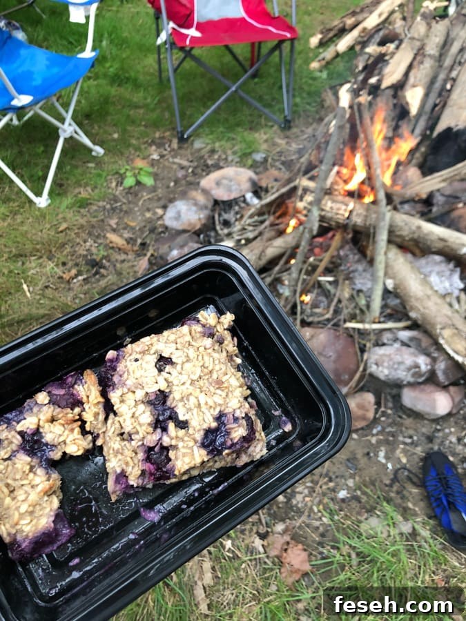 blueberry oatmeal bars