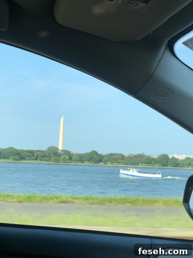 view from car
