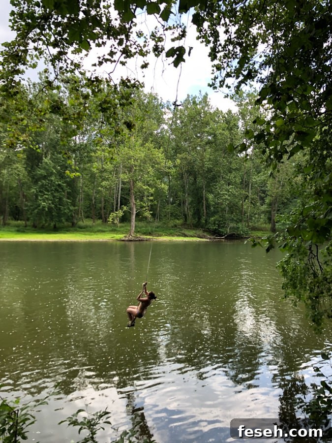 rope swing