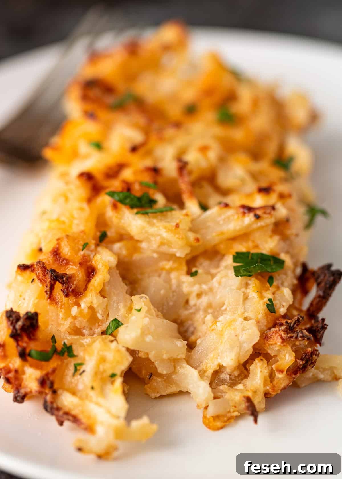 Southern Hashbrown Casserole Recipe for Comforting Family Dinners 9 closeup: a slice of hashbrown casserole on a white plate