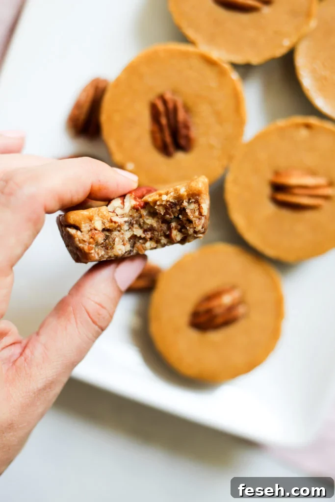 No-Bake Pumpkin-Pecan Pie Paleo Bites