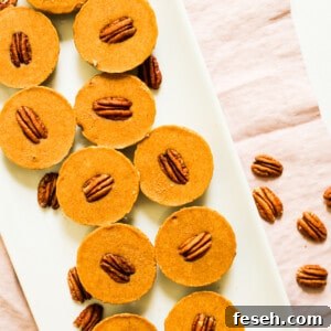 No-Bake Pumpkin-Pecan Pie Paleo Bites