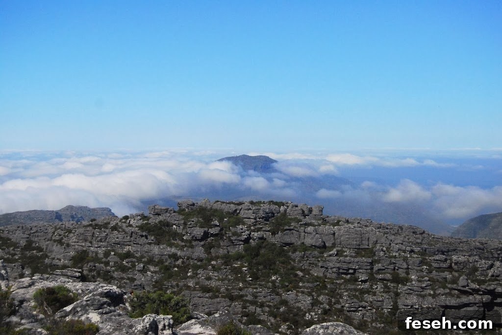 Panoramic view from Table Mountain