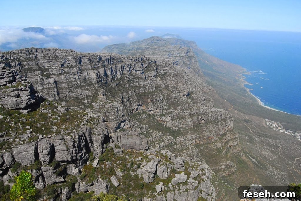 Table Mountain landscape