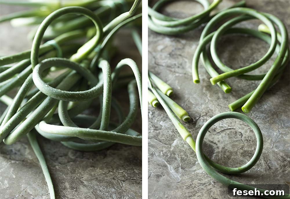 Garlic scapes and how to trim them.