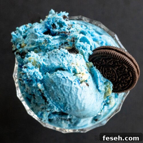 cookie monster ice cream recipe in a bowl from overhead with an oreo as garnish