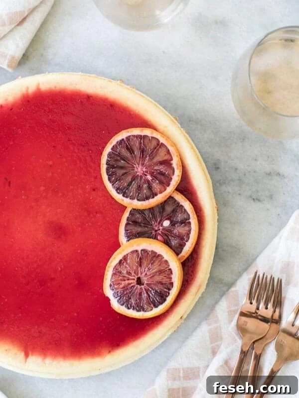 Blood Orange Cheesecake Recipe