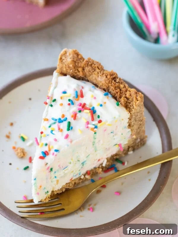 no-bake cheese cake with sprinkles for a birthday party