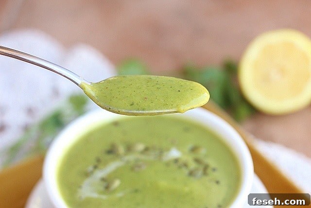 Curried Cream of Zucchini Soup 4