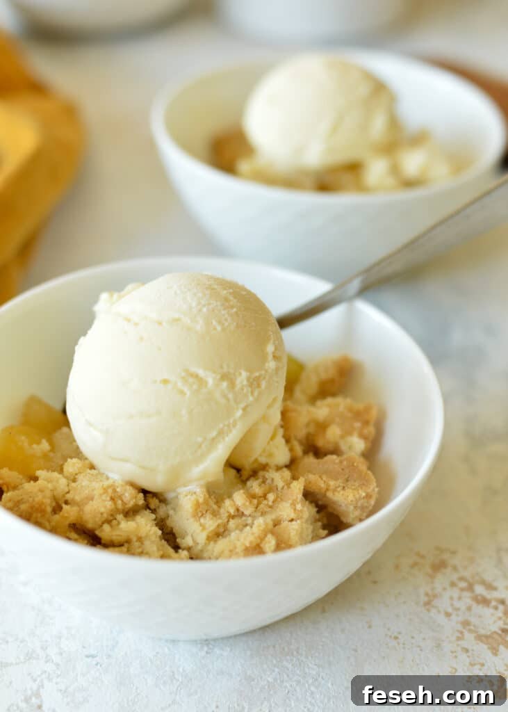 Crispy Apple Crisp (Oat-Free) Recipe for Homemade Dessert 2 a bowl of apple crisp with vanilla ice cream