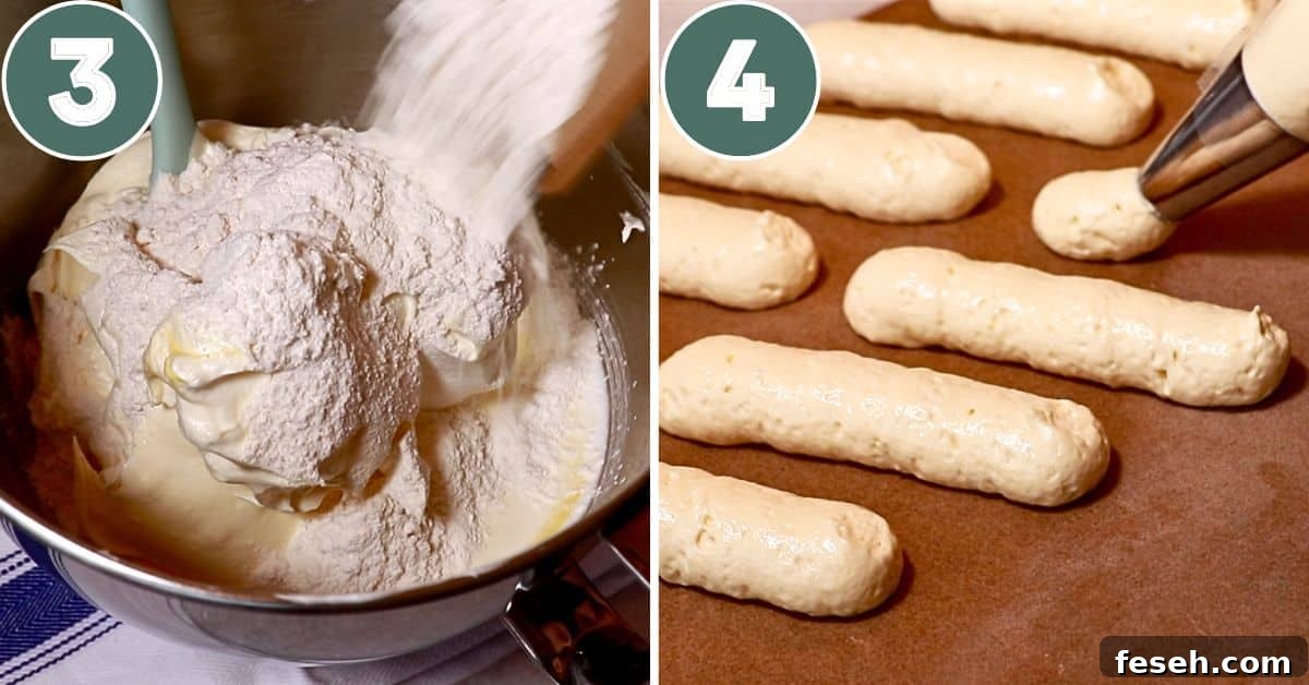 steps for adding flour and piping the ladyfinger batter