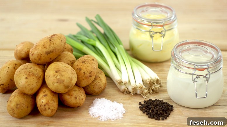 Champ Ingredients