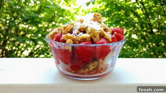 Low-Carb Layered Strawberry Crisp Recipe 6 layered low carb strawberry crisp