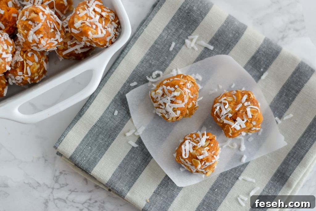 21 High-Energy Snacks to Fuel Your Day 11 No Bake Sweet Potato Energy Bites
