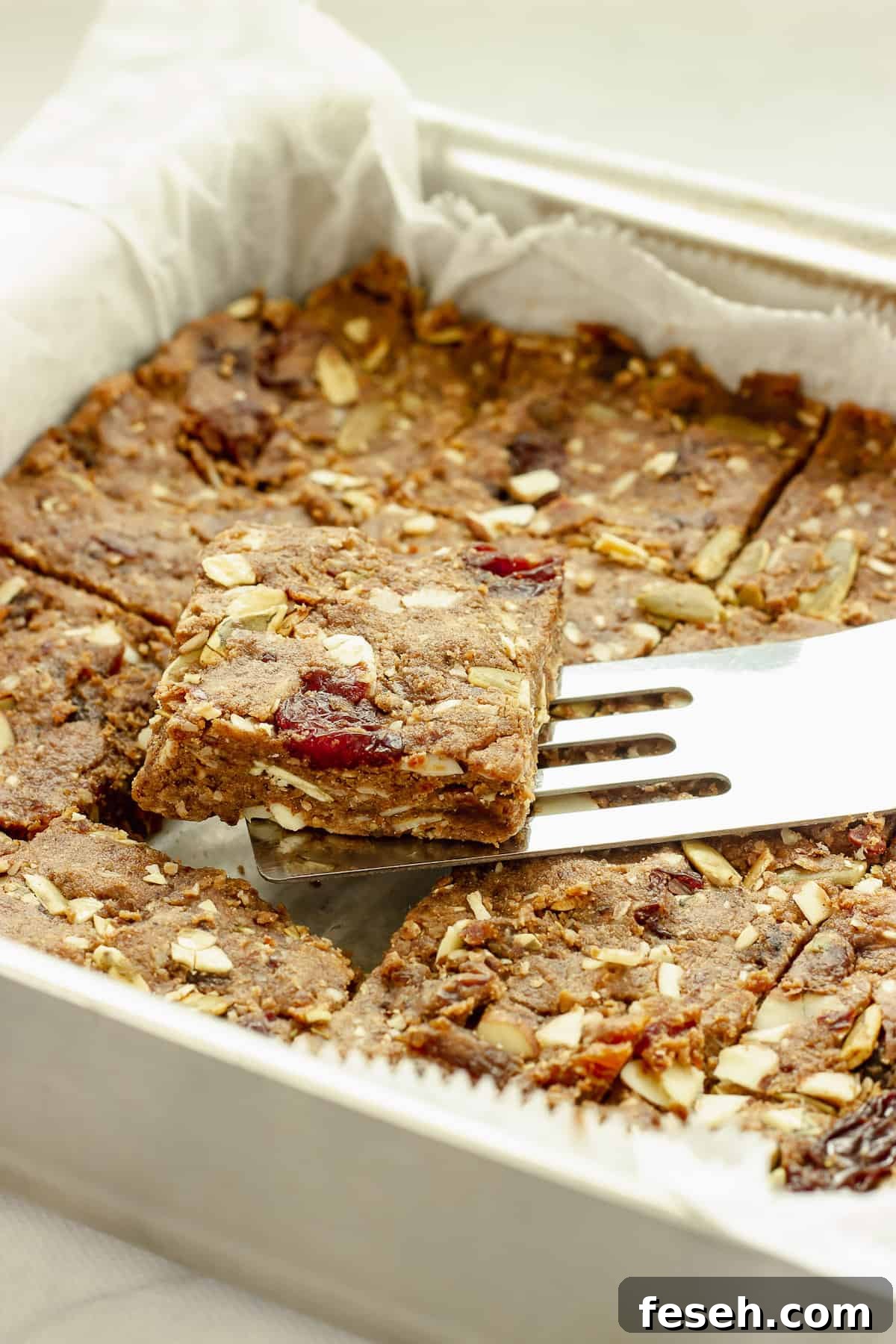 21 High-Energy Snacks to Fuel Your Day 21 No Bake Fruit and Nut Energy Bars