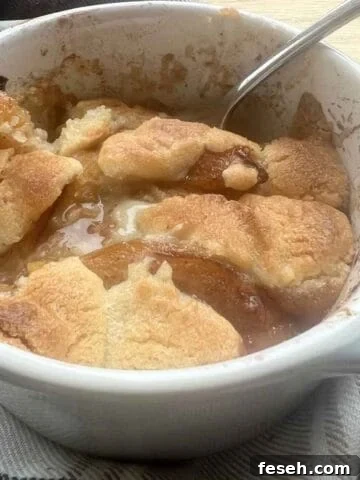 Air Fryer Peach Cobbler