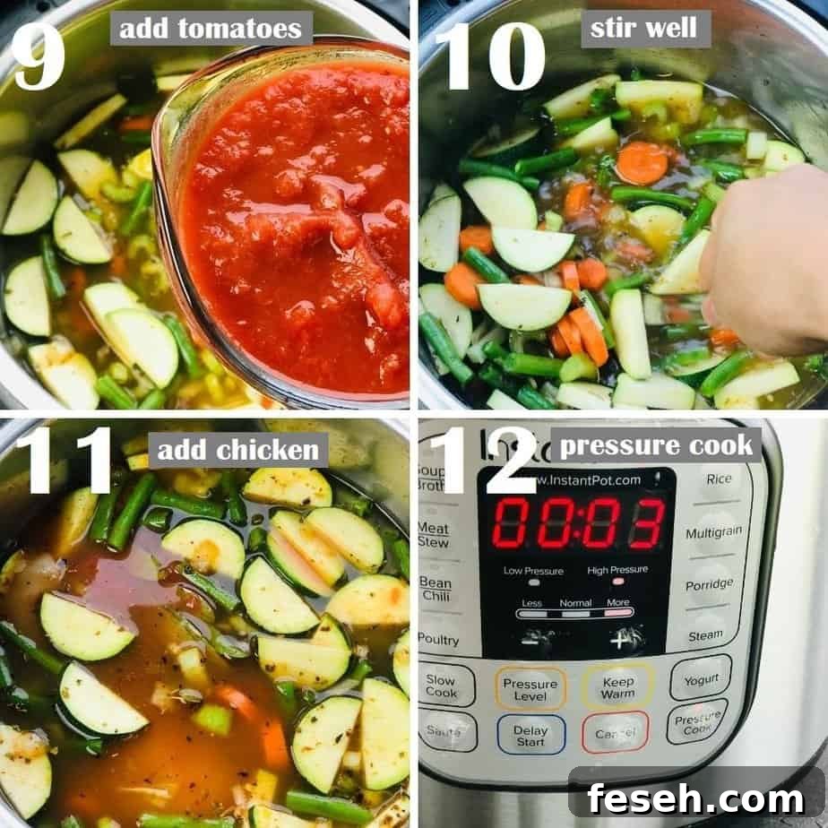 Hearty Chicken Minestrone Soup with Vegetables 7 Pressure Cook