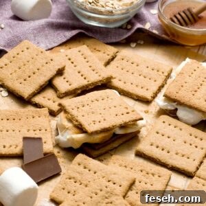 Homemade Gluten-Free Graham Crackers with Oat Flour 6 Gluten-free graham crackers with oat flour and honey with a smores in the middle.