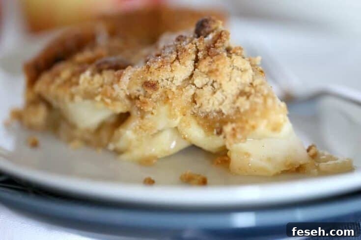 Dutch Apple Pie Recipe