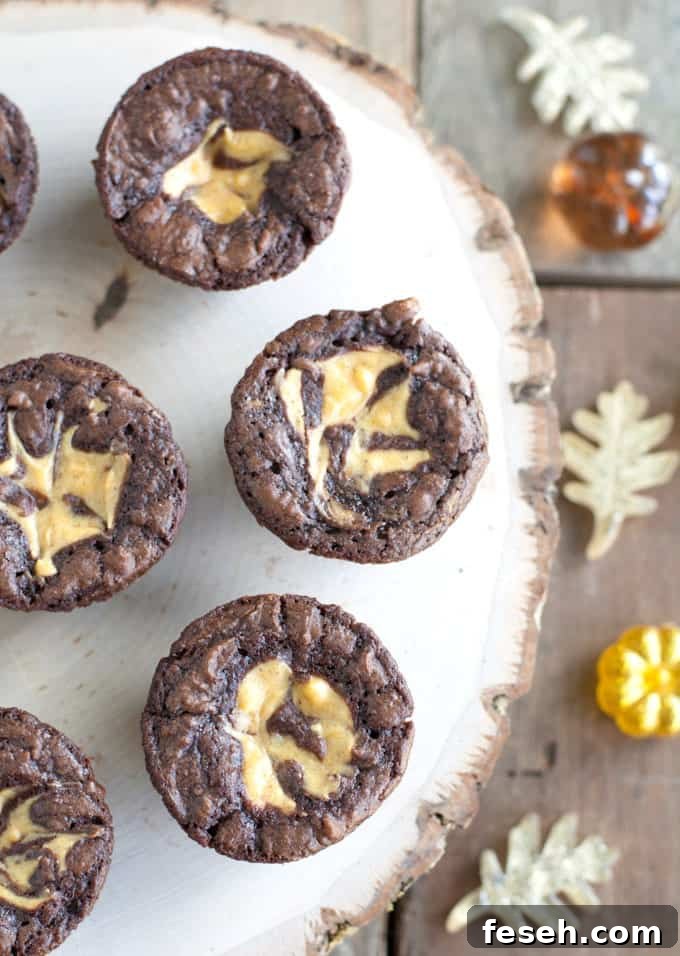 Pumpkin Cheesecake Brownie Bites