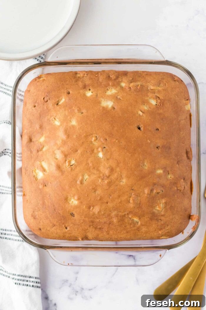 Moist Vegan Apple Cake with Cinnamon Glaze 9 Overhead view of a baked apple cake in a square glass baking dish. You can see pieces of diced apple in the cake and the cake is a light golden brown colour.