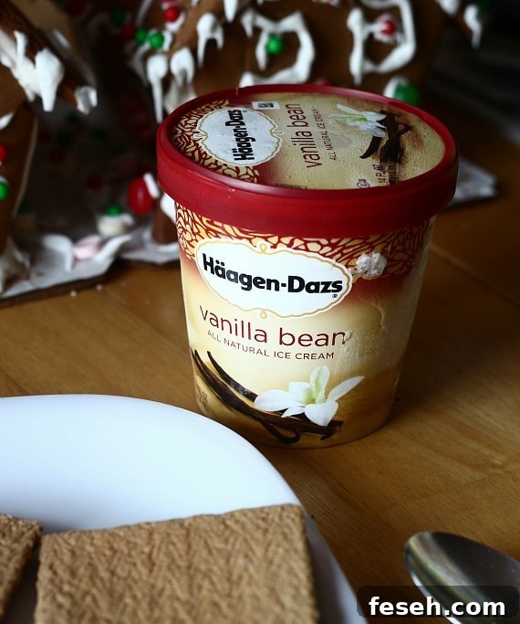 IMG_5998 A tub of Haagen-Dazs vanilla bean ice cream next to Gingerbread Pop Tarts.