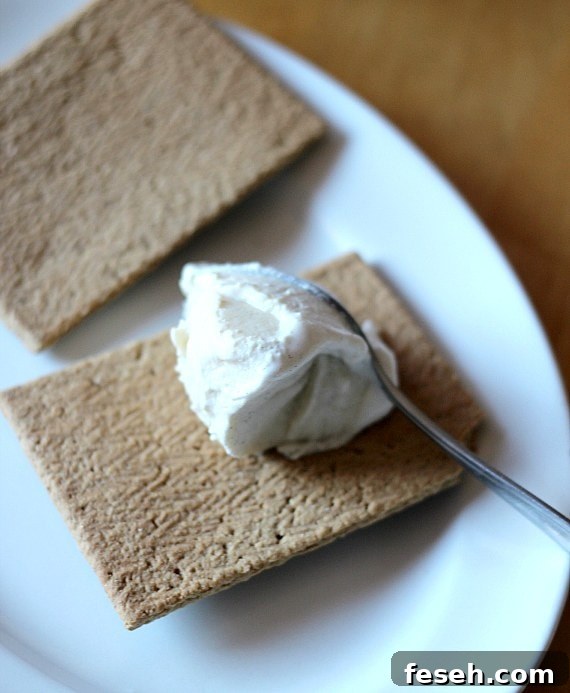 IMG_6061 Ice cream is spread over one side of a Gingerbread Pop Tart.